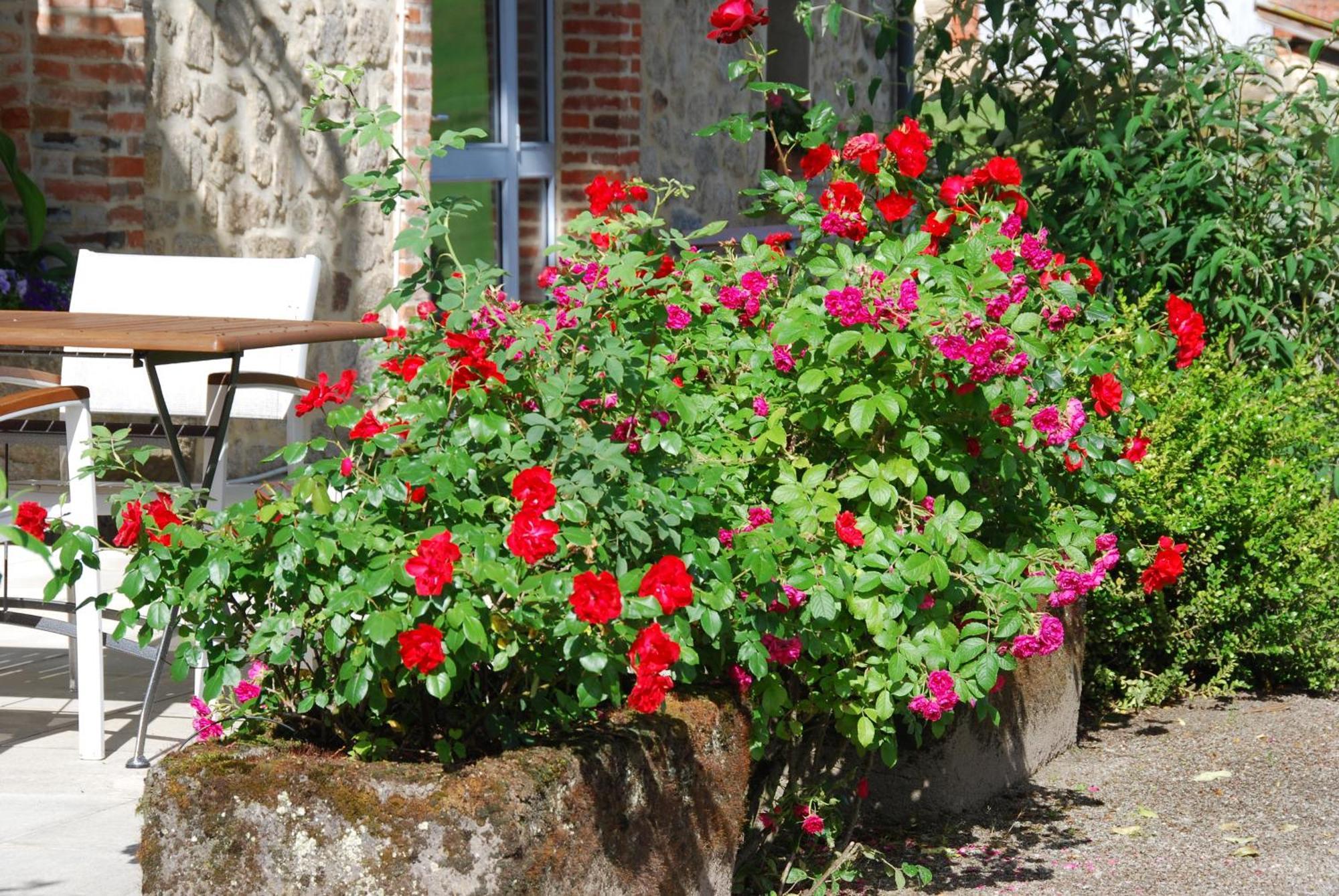 Les Maisons De Concasty Boisset  Rom bilde